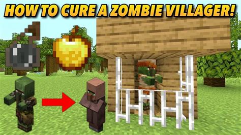Tutorials/Curing a zombie villager .